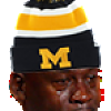 Michigan mjcry