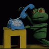 Dead Frogg
