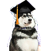 Graduating Boy