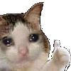 Sad Kitten Thumbsup