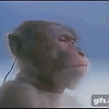 Monkey With a Walkman Gif