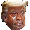 Trump mjcry