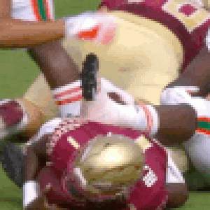 FSPoo.gif