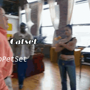 No Pets Catset Stab Gif