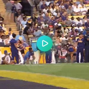 LSU FAN IN GIF