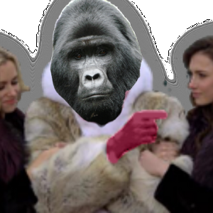 Gorilla Pimp