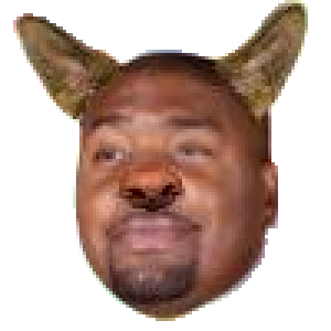 tariq dog