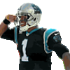 Cam salute