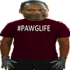 Oj Simpson Pawg Life