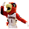 Hawks mascot