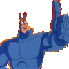 the tick