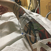 mjcry morpheme flow