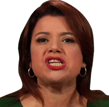 ana navarro1b