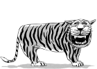Black and White Derp Tiger Drawing