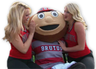 Brutus Buckeye Pawging