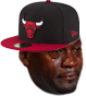 Bulls Mjcry