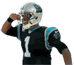 Cam salute