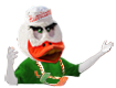 canesduckchain