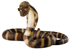 DameSerpent