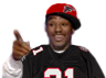 Falcons UMad