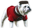 Flabbybulldog