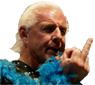 Flair finger