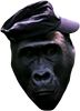 gorillarealer
