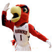 Hawks mascot