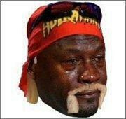 Hogan MJ Face