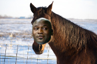 horsemj