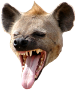 Hyenahaha