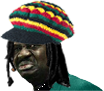 Jamaican Scust