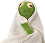 kermit moses