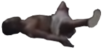 KO