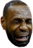 lebronuglycry