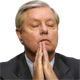 Lindsey Graham