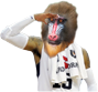 mandrill salute