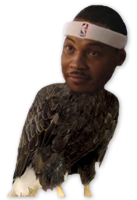 Melo Owl