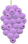 Member Berries