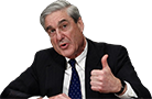 mueller 1