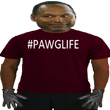 Oj Simpson Pawg Life