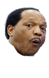 Ron Simmons Whoa