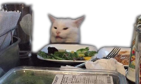 Served up cat meme