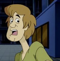 shaggy