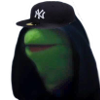 Sith Kermit - New York