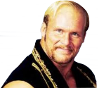 Stunning Steve Austin