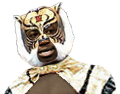 Tiger Mask Gucci