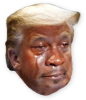 Trump mjcry