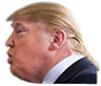 trump neck 2