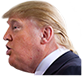 trumpneck